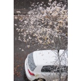 Падает снег - 5.jpg